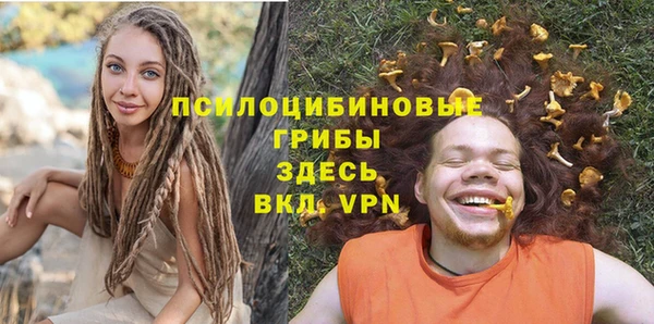 марки nbome Каменногорск