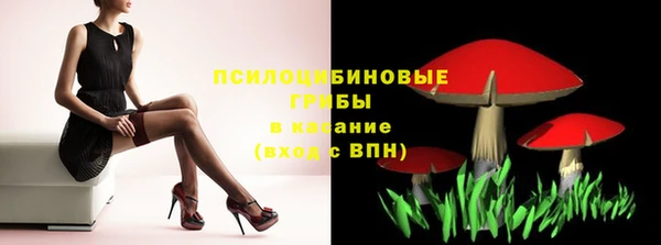 mdpv Каменка