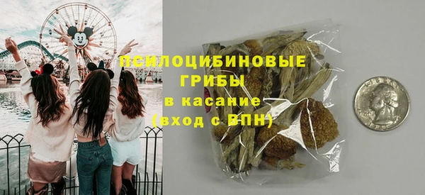 гашик Каменск-Шахтинский