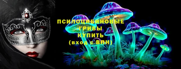 марки nbome Каменногорск